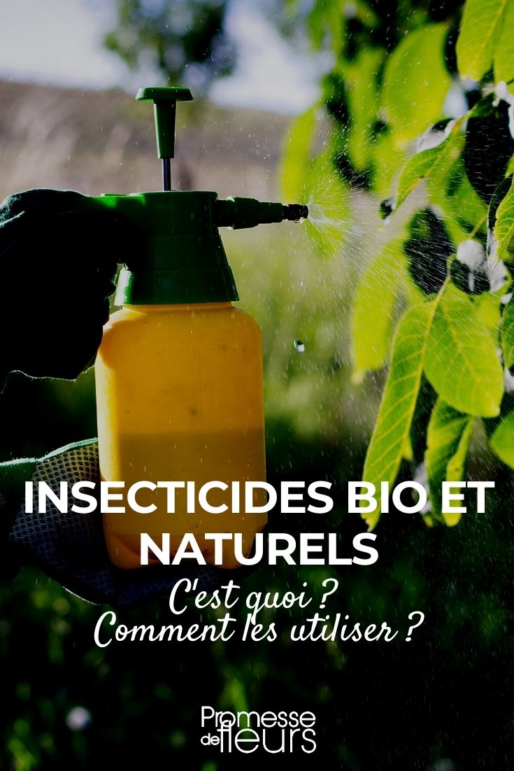 Plantes De Jardin Fongicide Et Insecticide