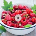 Petits fruits rouges : faites une haie gourmande au jardin !