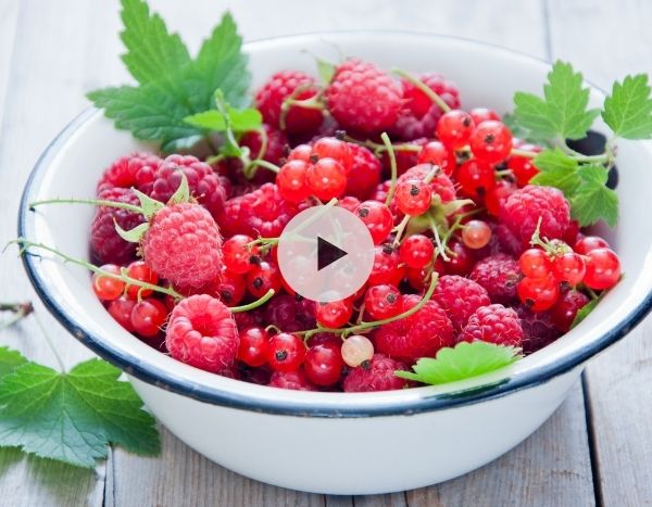 Petits fruits rouges : faites une haie gourmande au jardin !