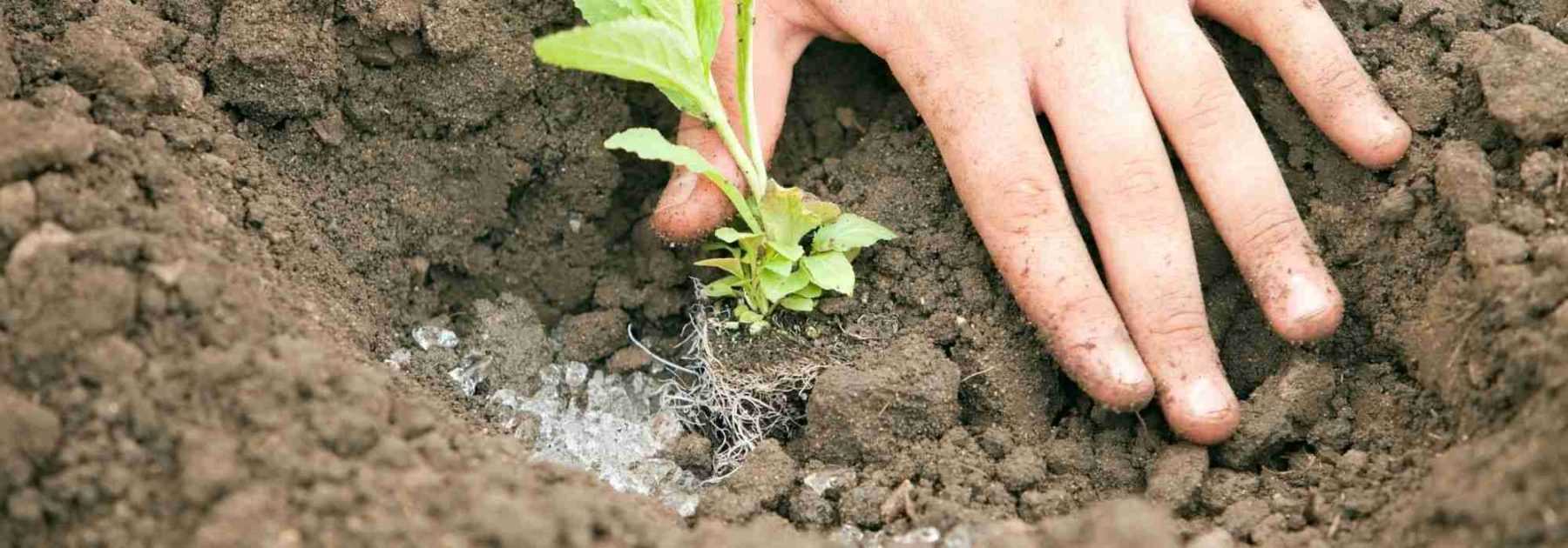 Qu'est-ce que le compost, à quoi ça sert, comment l'utiliser ?