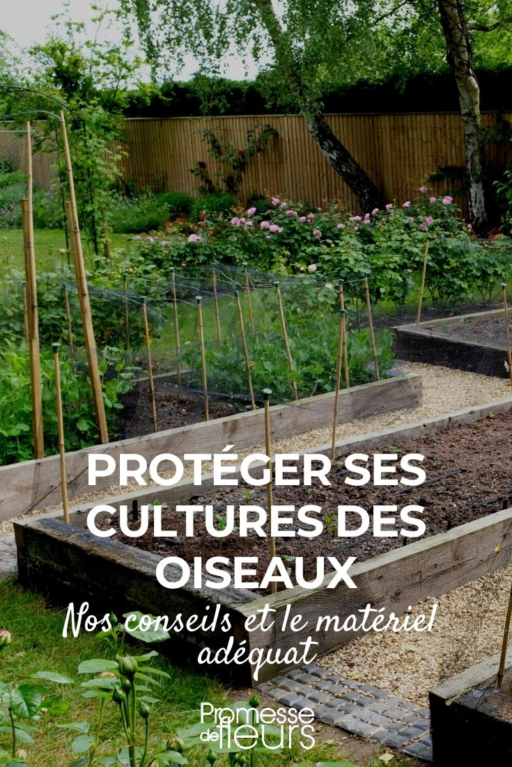 Fridja Filet de Jardin Robuste pour Oiseaux Protéger les Plantes