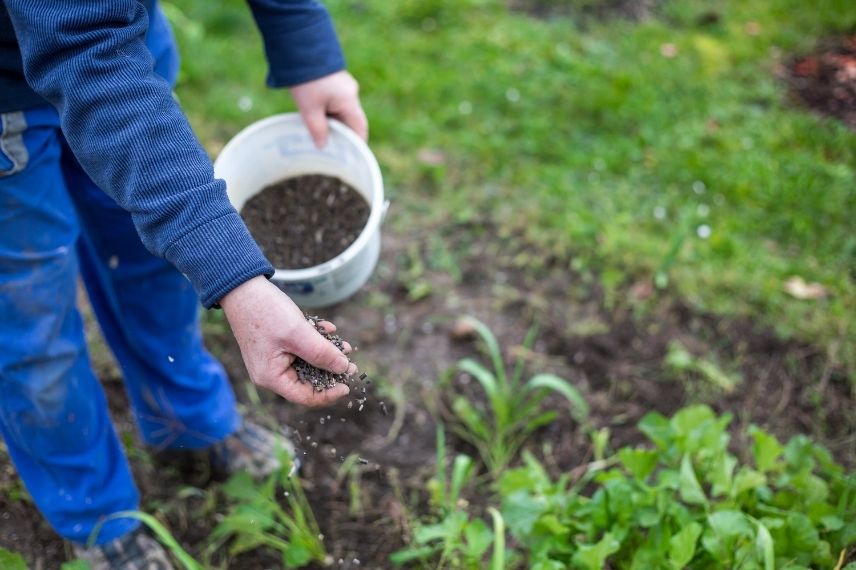 engrais organique pour le jardin et le potager