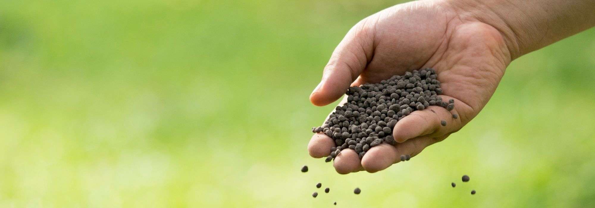 Corne broyée, sang séché, guano... A quoi servent ces engrais au jardin et au potager ?