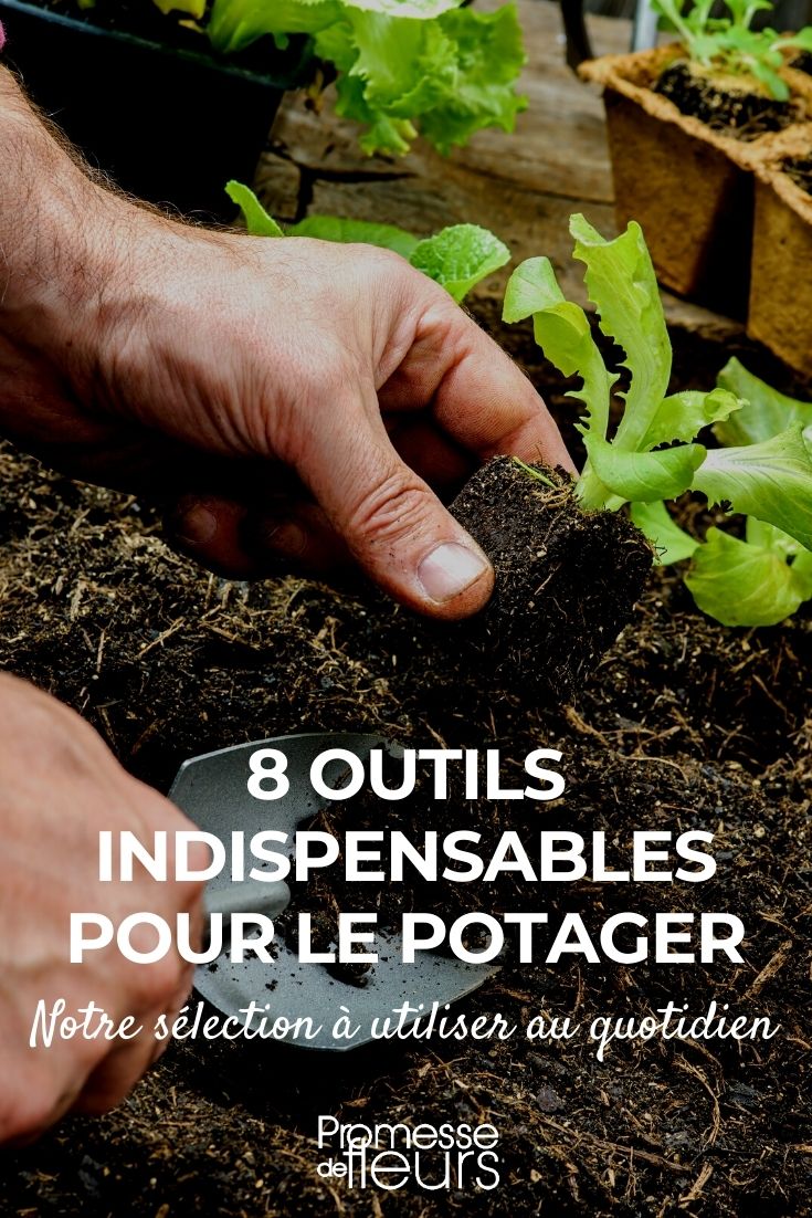 Les 5 outils indispensables au jardinage