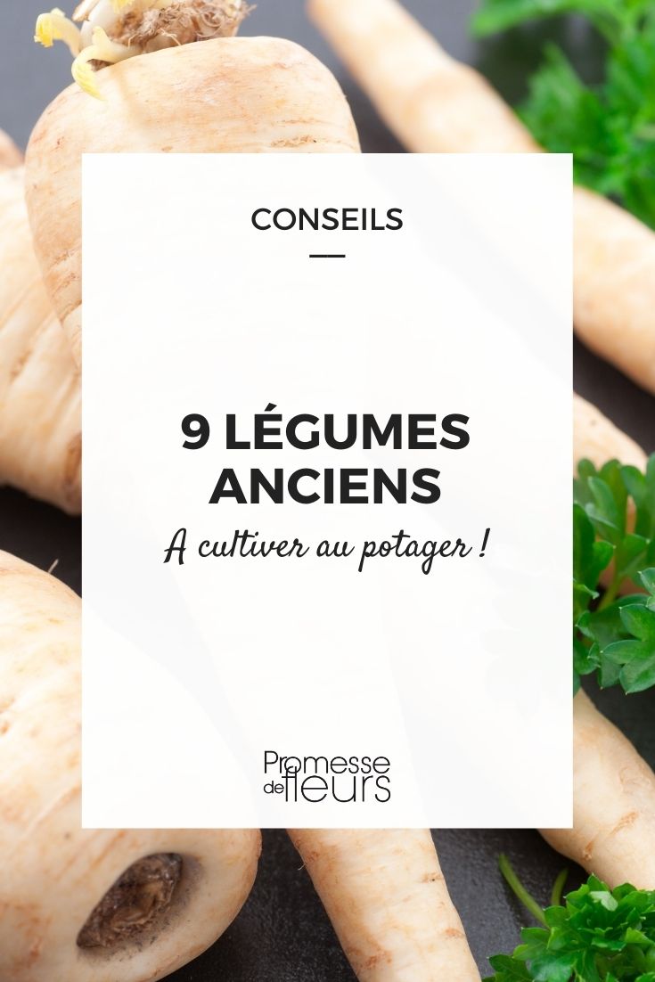 Kit de graines bio - Les légumes d'antan