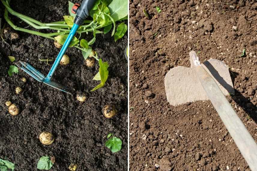 Binette de Jardin - Outil de Jardinage à Long Manche - Désherbage Facile et  Confortable