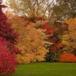 Le Jardin du Mesnil : une féérie d'automne !