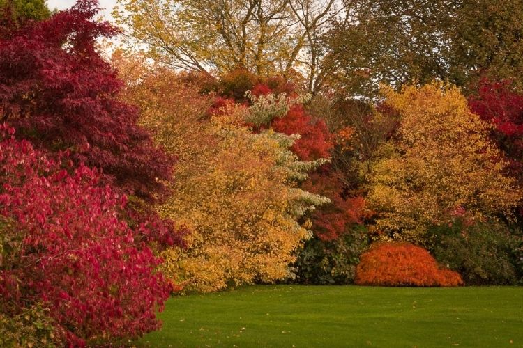 Comment avoir un beau jardin coloré même en automne ? - Elle Décoration