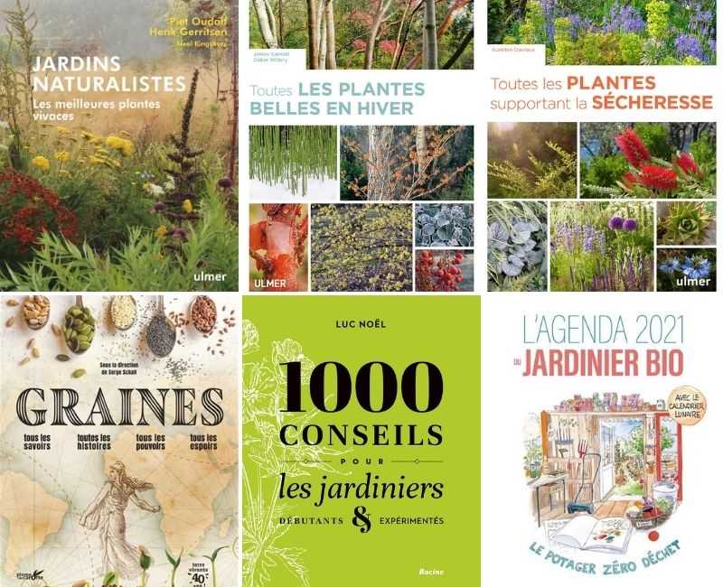 Idée cadeau jardin - Un coffret de graines rares à planter !