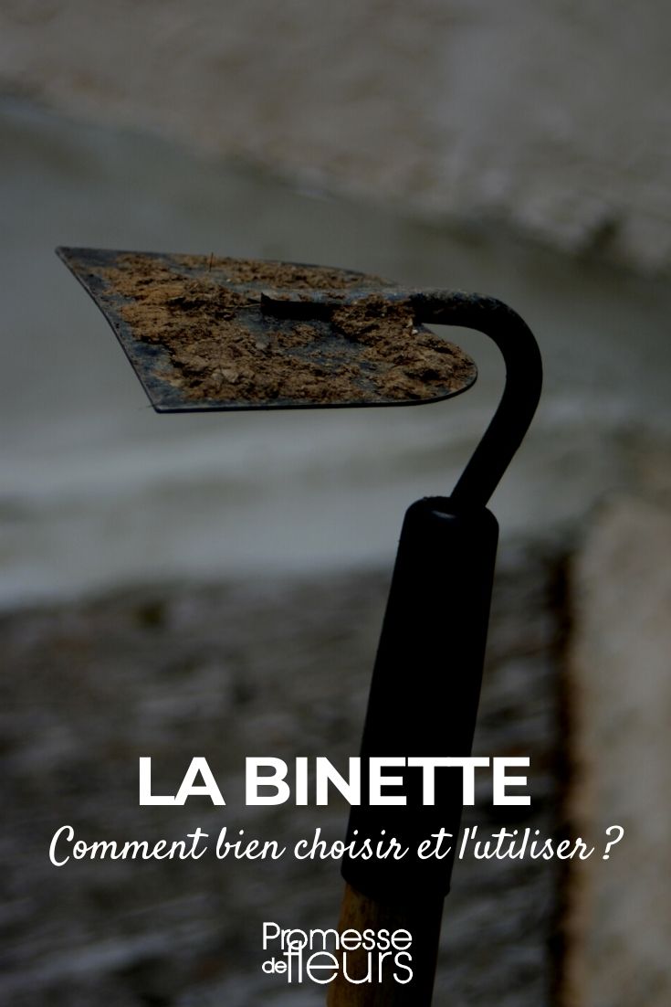 binette : outil de jardin