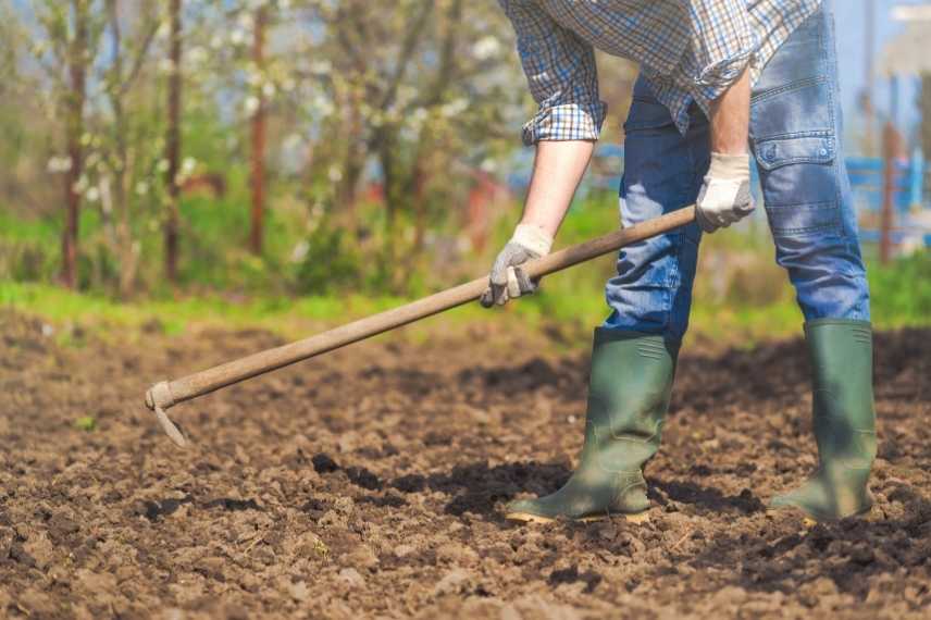 Pack 6 outils de Jardinage et Potager avec Manche amovible, Outillage