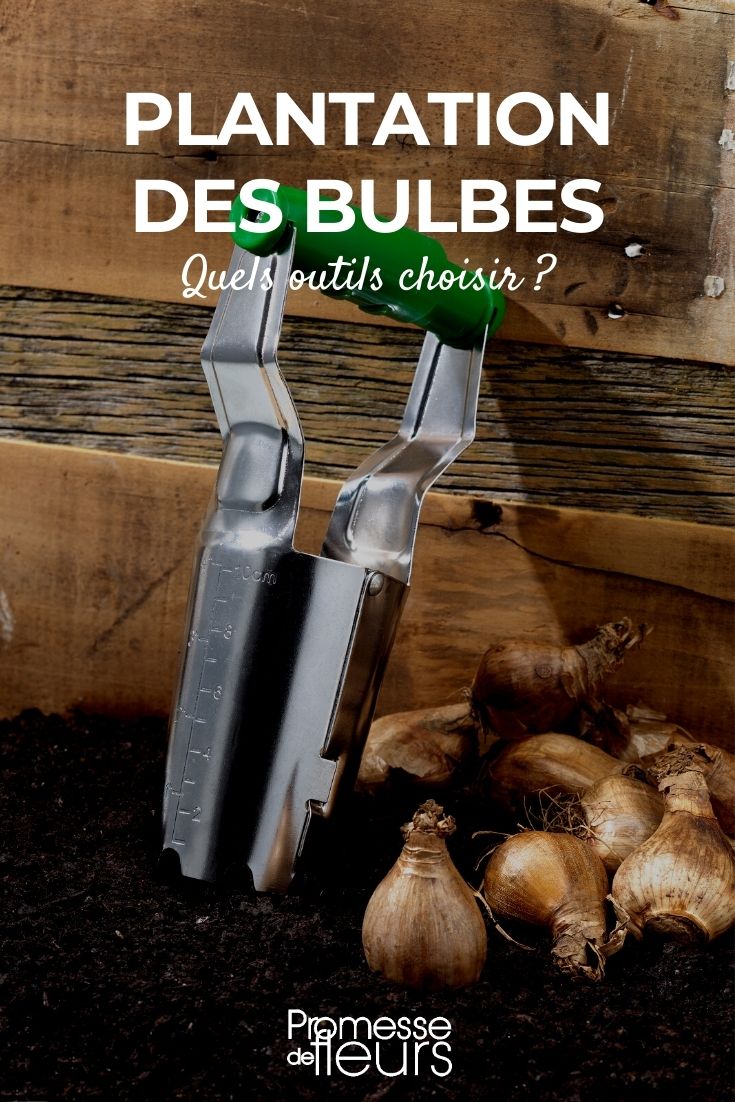 Plantation des bulbes : quels outils choisir ? - Promesse de Fleurs