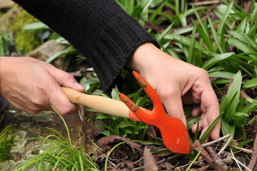 Les outils essentiels pour le jardin - botanic®