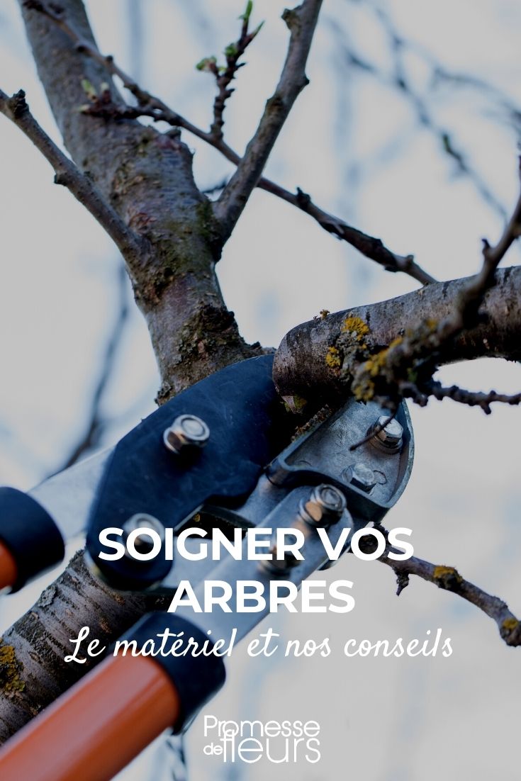 soigner les arbres