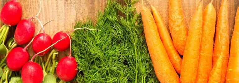 Bien cultiver des légumes précoces