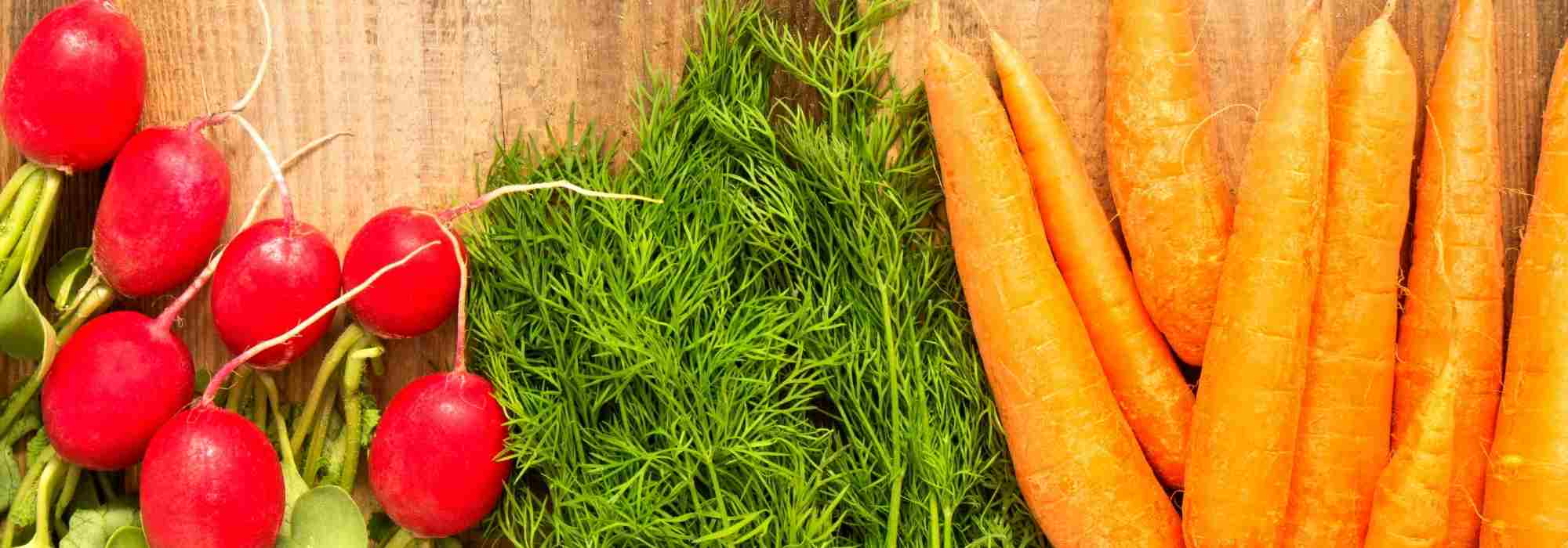 Bien cultiver des légumes précoces