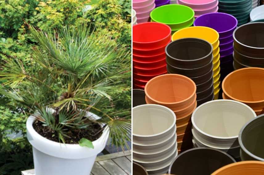 Pots pour plantes: poterie, choix contenant plantes