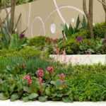 5 conseils de plantation pour un jardin graphique et moderne