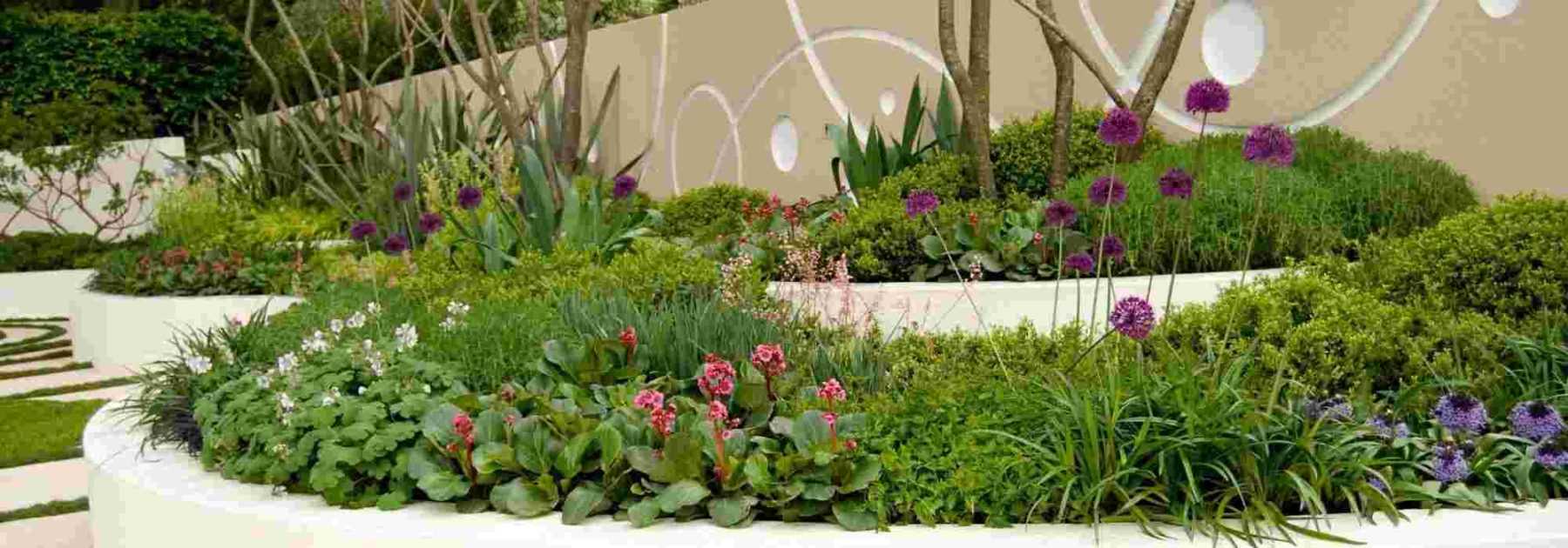 5 conseils de plantation pour un jardin graphique et moderne