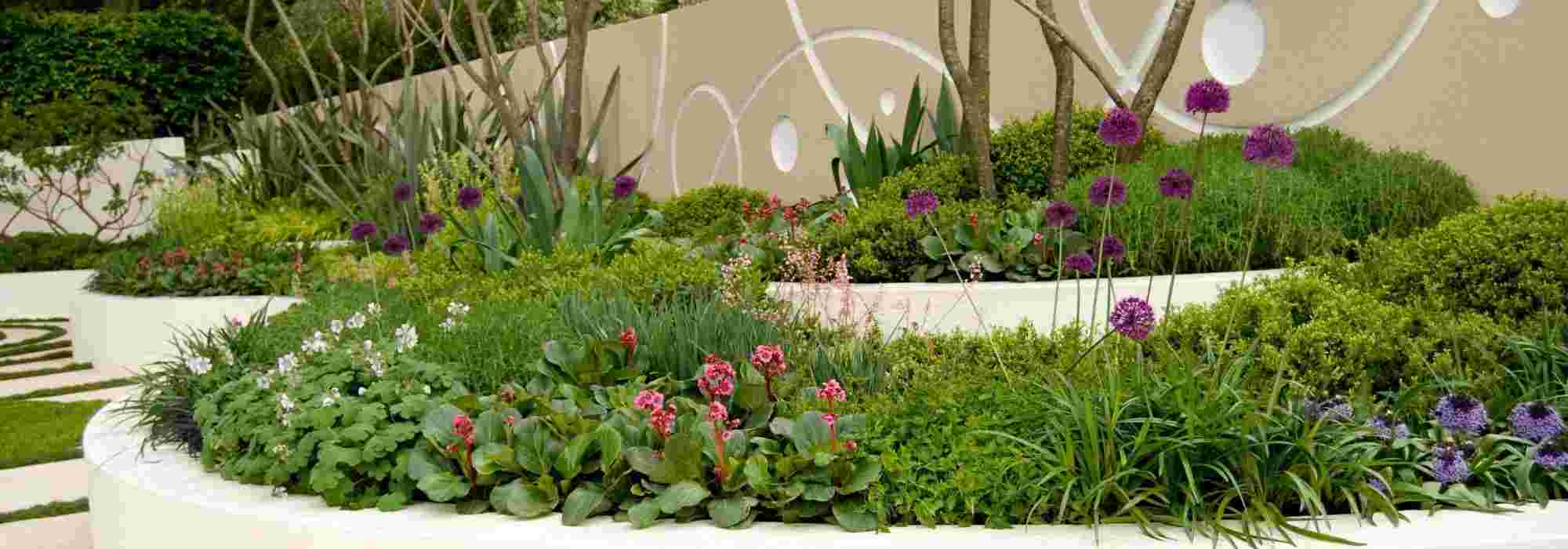 5 conseils de plantation pour un jardin graphique et moderne