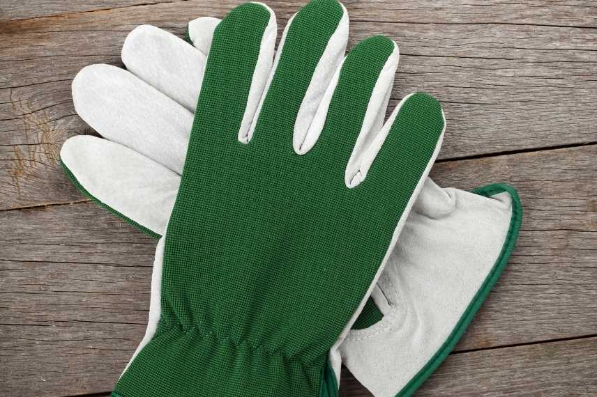 Promo GANTS DE JARDINAGE À GRIFFES chez Lidl