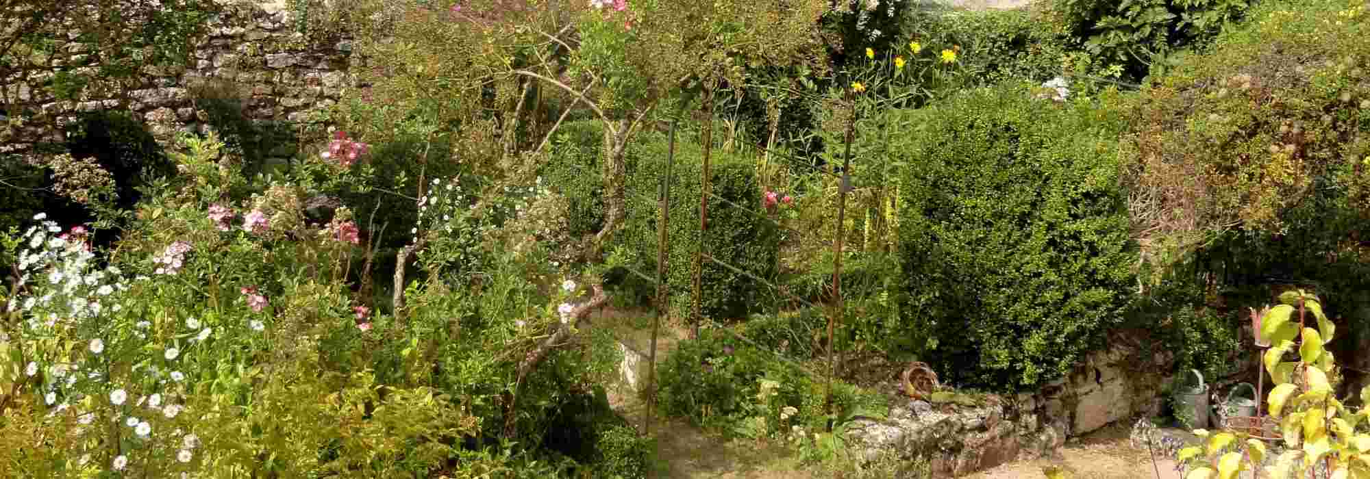 Aménager un jardin de curé : les grands principes