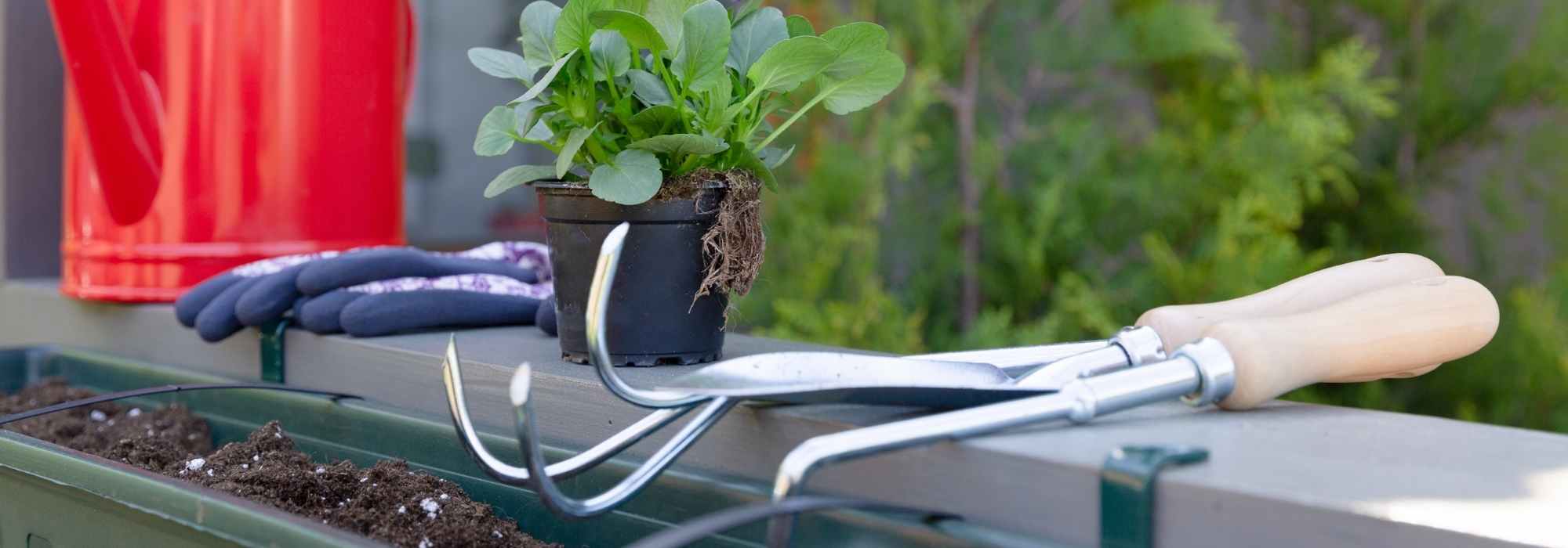 Le matériel indispensable pour jardiner sur son balcon