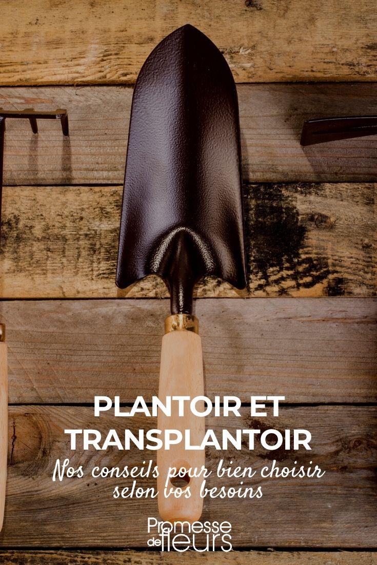 choisir plantoir et transplantoir