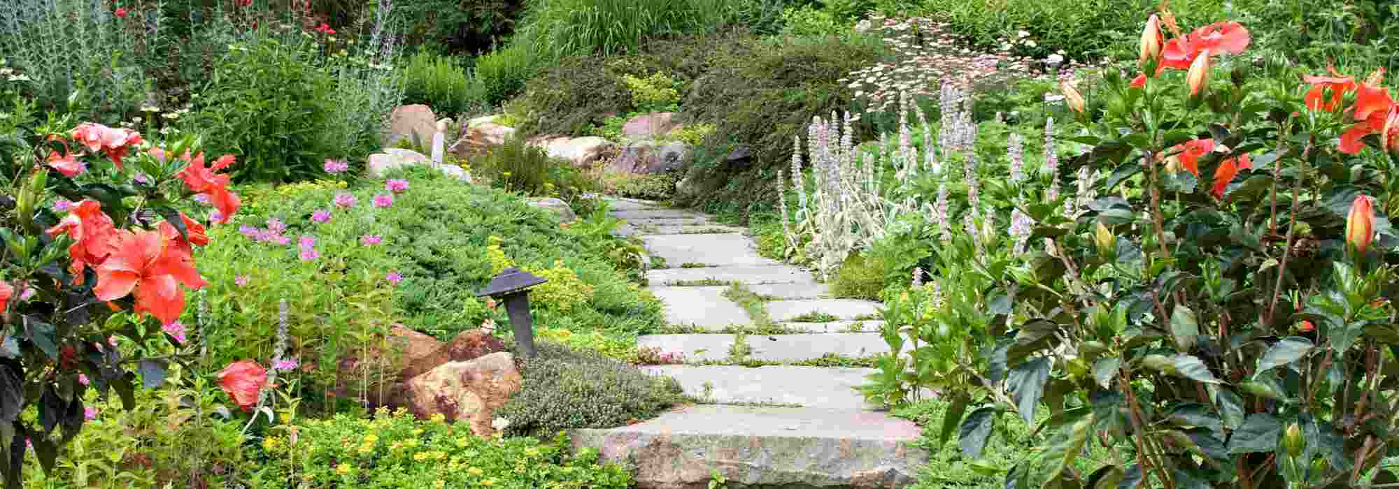 Allée de jardin : nos conseils pour la réaliser - Côté Maison