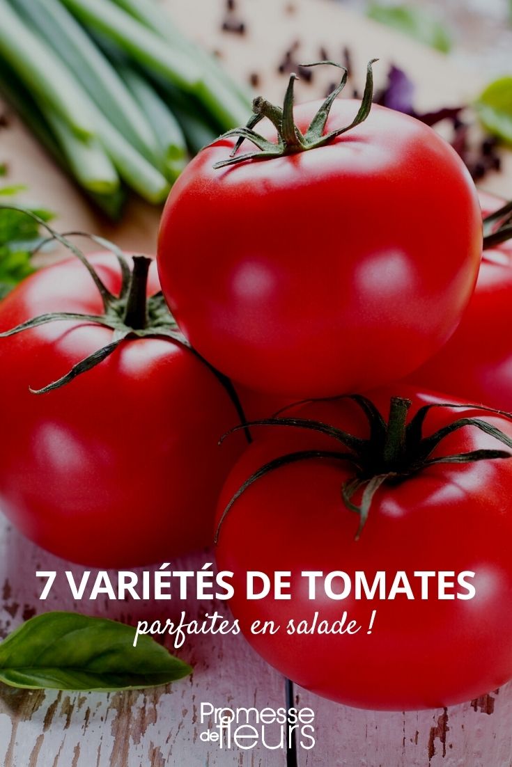 7 tomates pour salade