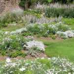 9 conseils de paysagiste pour aménager un jardin blanc