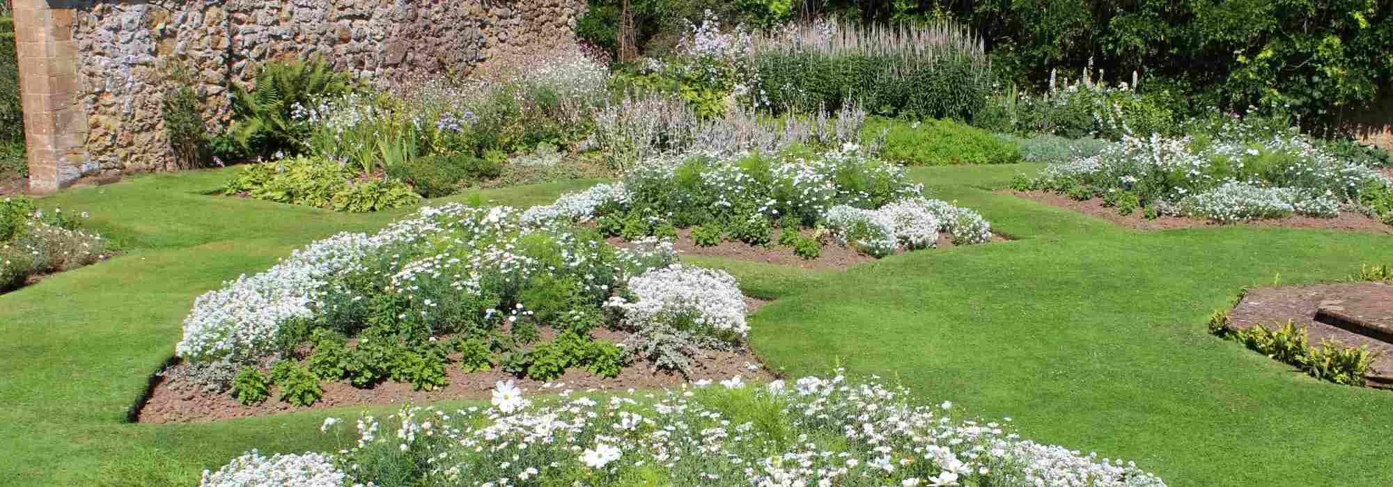 9 conseils de paysagiste pour aménager un jardin blanc