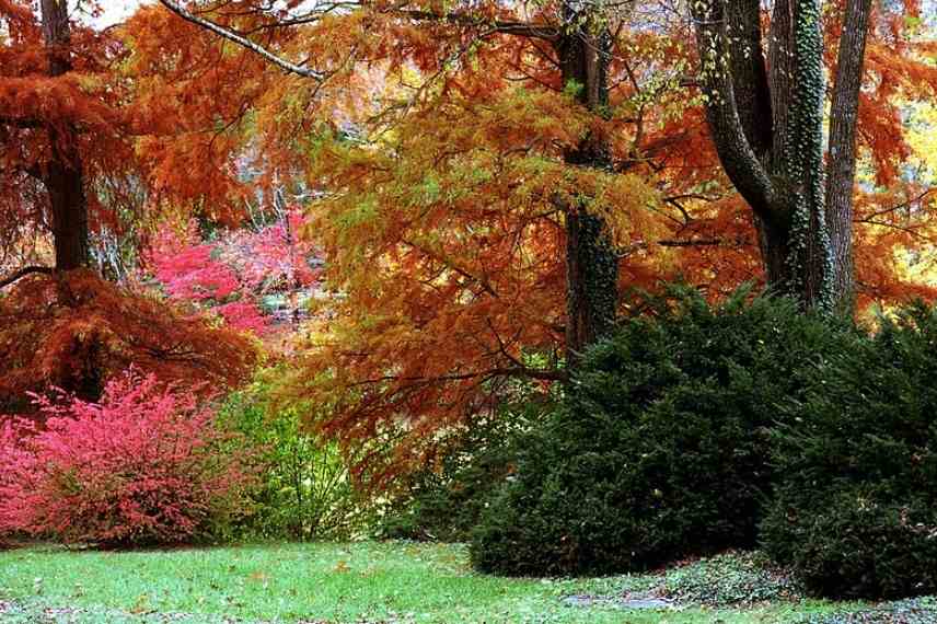 Amenager un beau jardin d automne