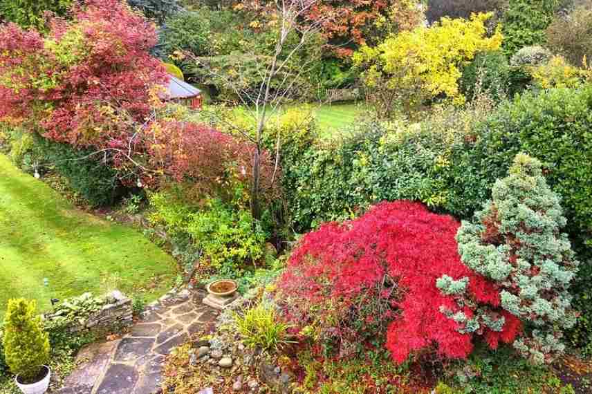 Amenager un beau jardin d automne