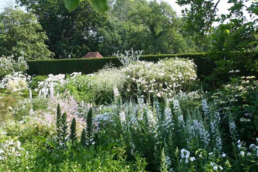 jardin blanc amenagement, structure, volume, formes