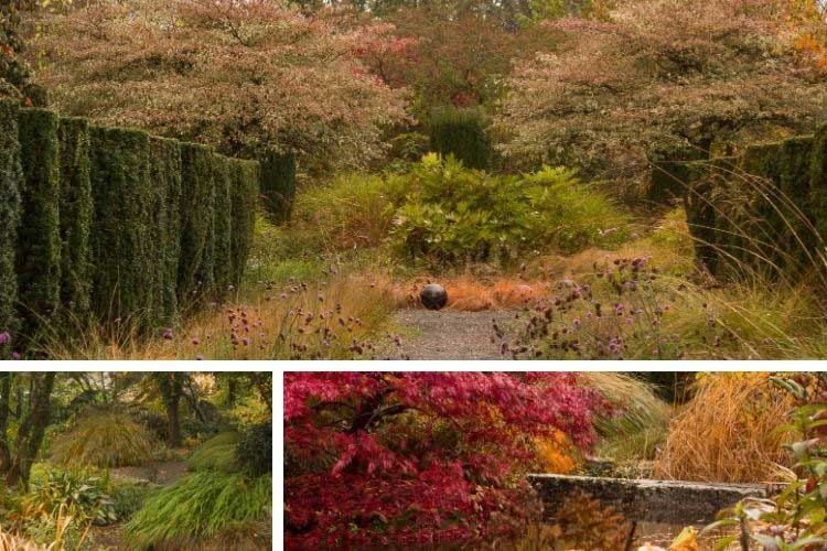 Jardin d'automne entrée ambiances 