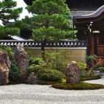 Jardin japonais : 10 arbustes emblématiques