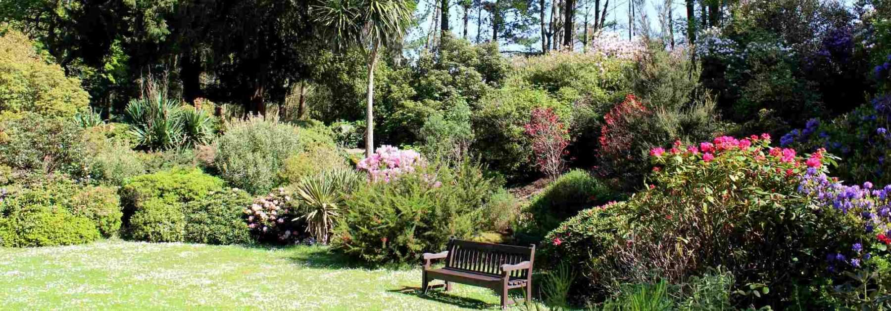 Que planter dans un jardin déjà plein ?