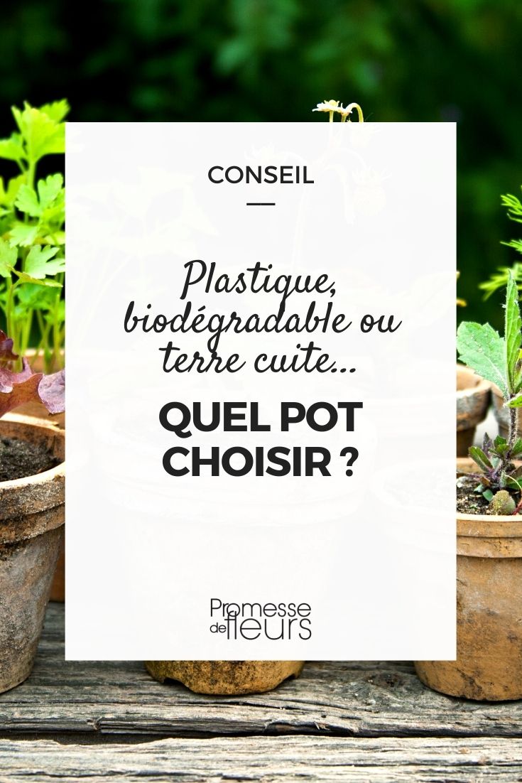 Choisir un pot en plastique ou en terre cuite ?