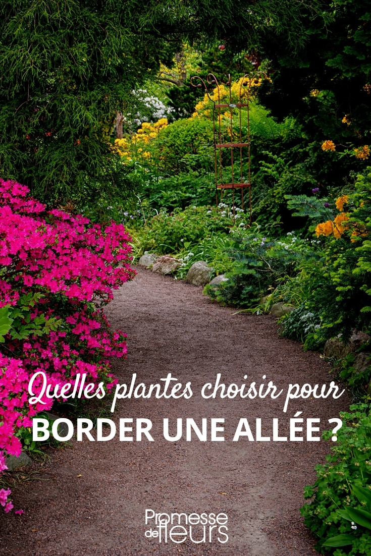 10 recettes pour bien choisir des plantes pour un petit jardin - Gamm vert