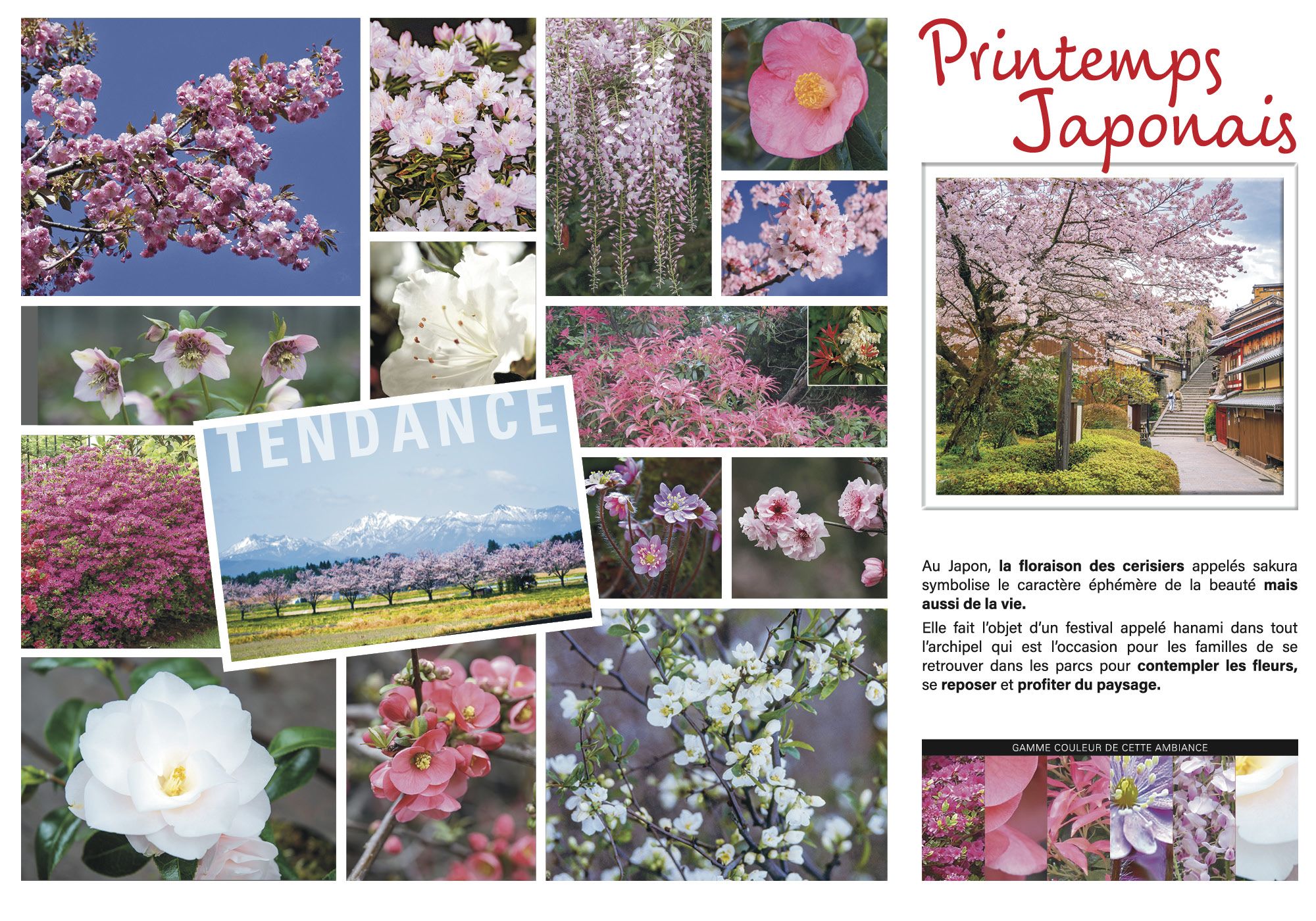 TENDANCE Printemps japonais