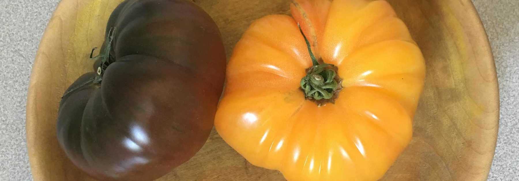 Les meilleures tomates anciennes