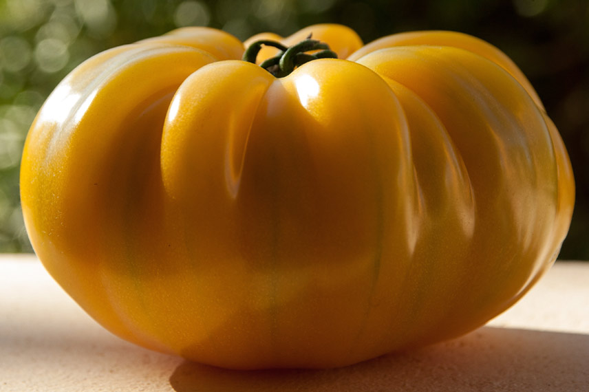 La tomate Ananas, aussi belle que bonne dans les salades