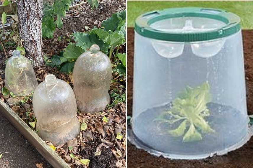 Cloche de jardin en plastique, couverture de Protection pour