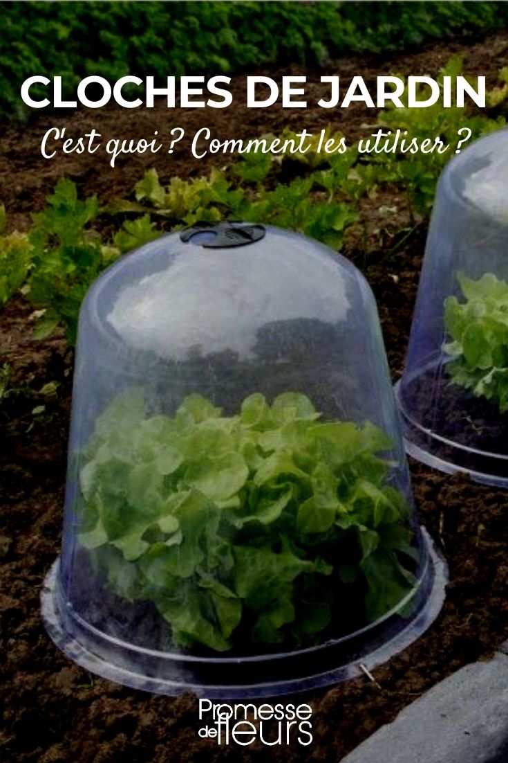 cloche jardin