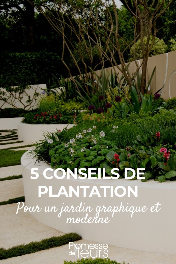 5 conseils de plantation pour un jardin graphique et moderne