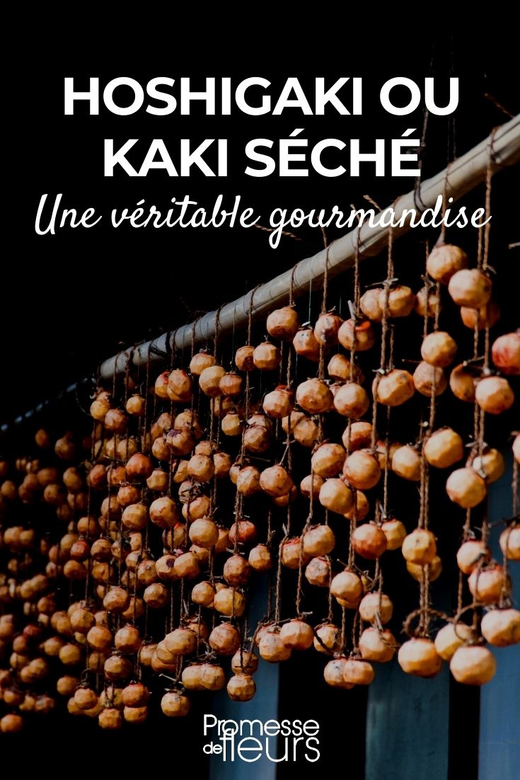 kaki séché