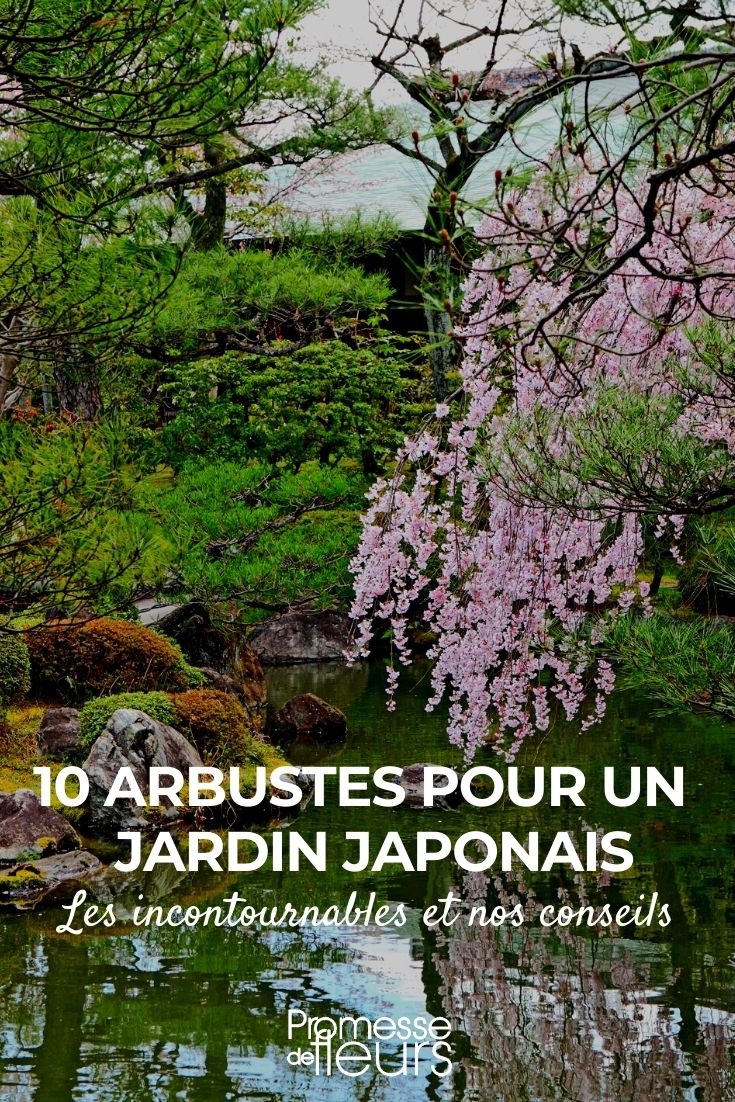 10 arbustes pour jardin japonais