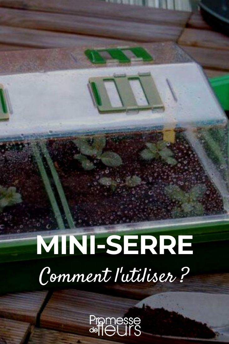 mini-serre : comment l'utiliser ?