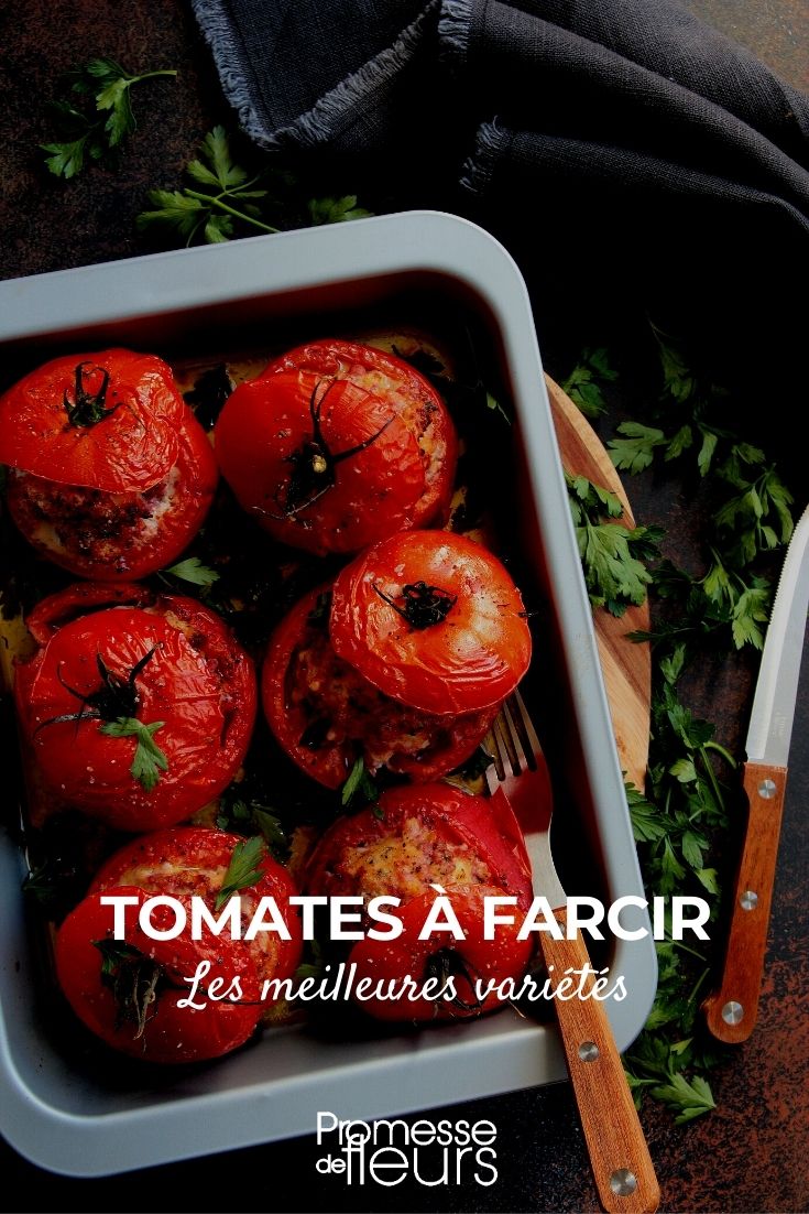 Les meilleures tomates à farcir